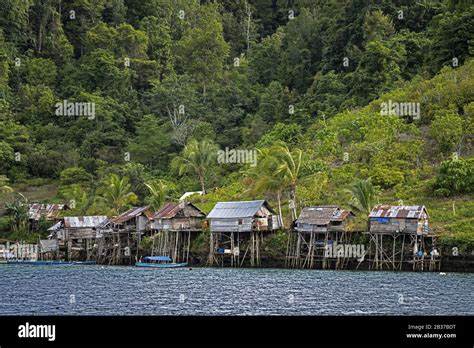  Raja Ampat 해안선을 따라 펼쳐지는 신비로운 아래쪽 세상!